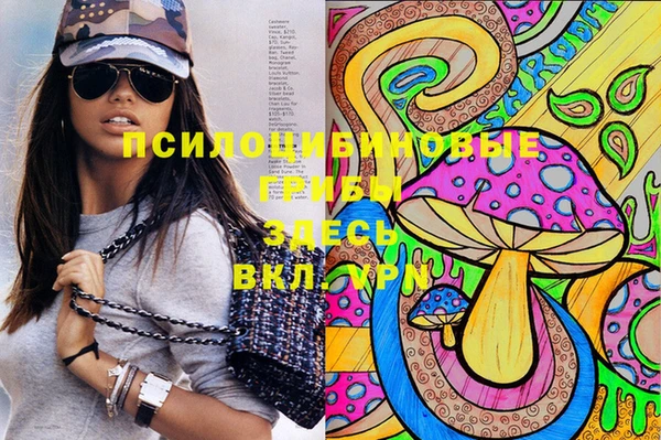 метамфетамин Каменка
